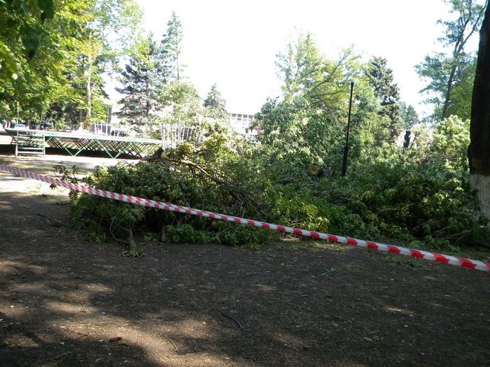 На фото: спил аварийных деревьев в центральном парке ст. Павловской