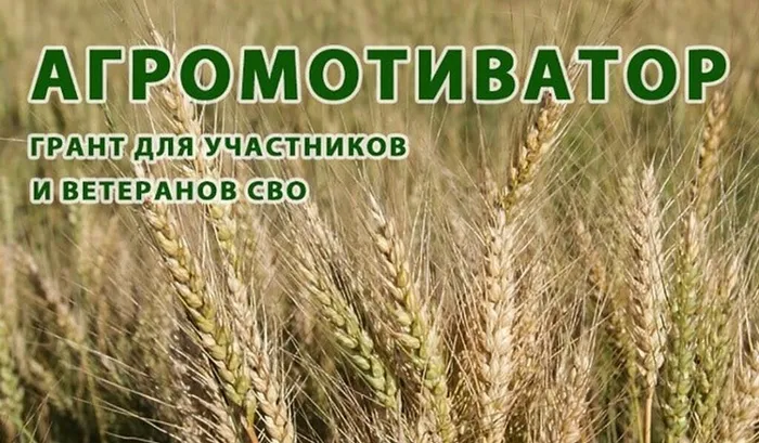 отбор грант