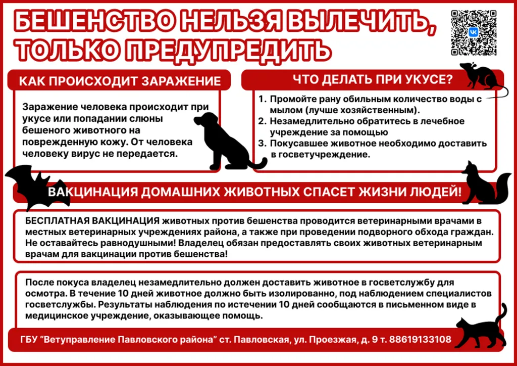 бешенство