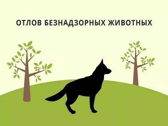 bI2V8ndv8PlslIET8fiWDGMQ__vfE6UNEWDsZs4ob14gZ9C_KgU9LXZhM9cyx4anL9EqJTef7SBQ0zfx3RQaYwII (1)
