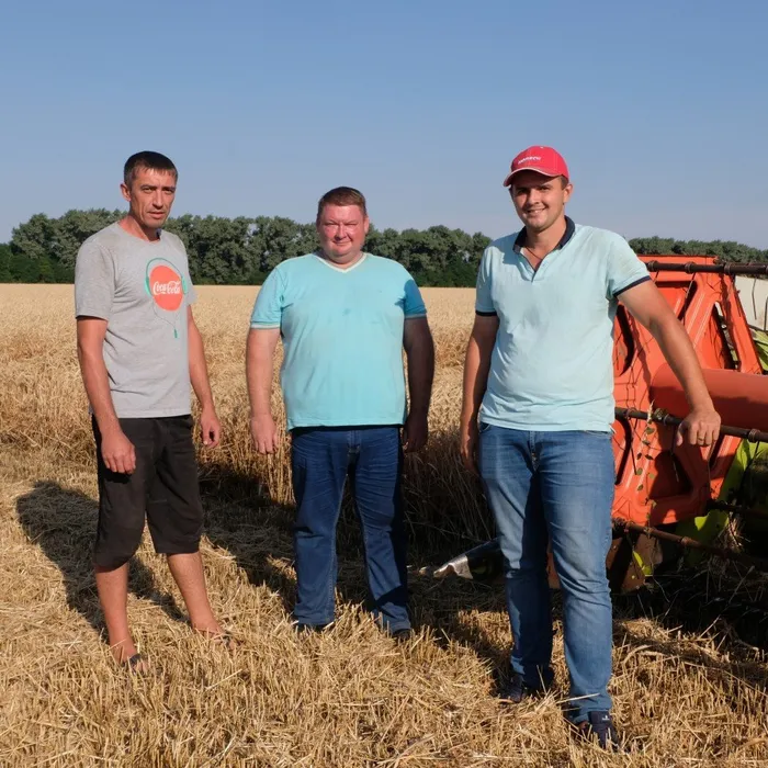 Жатва – 2019