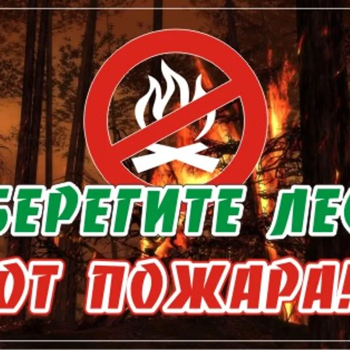 Предупреждение возникновения и распространения лесных пожаров
