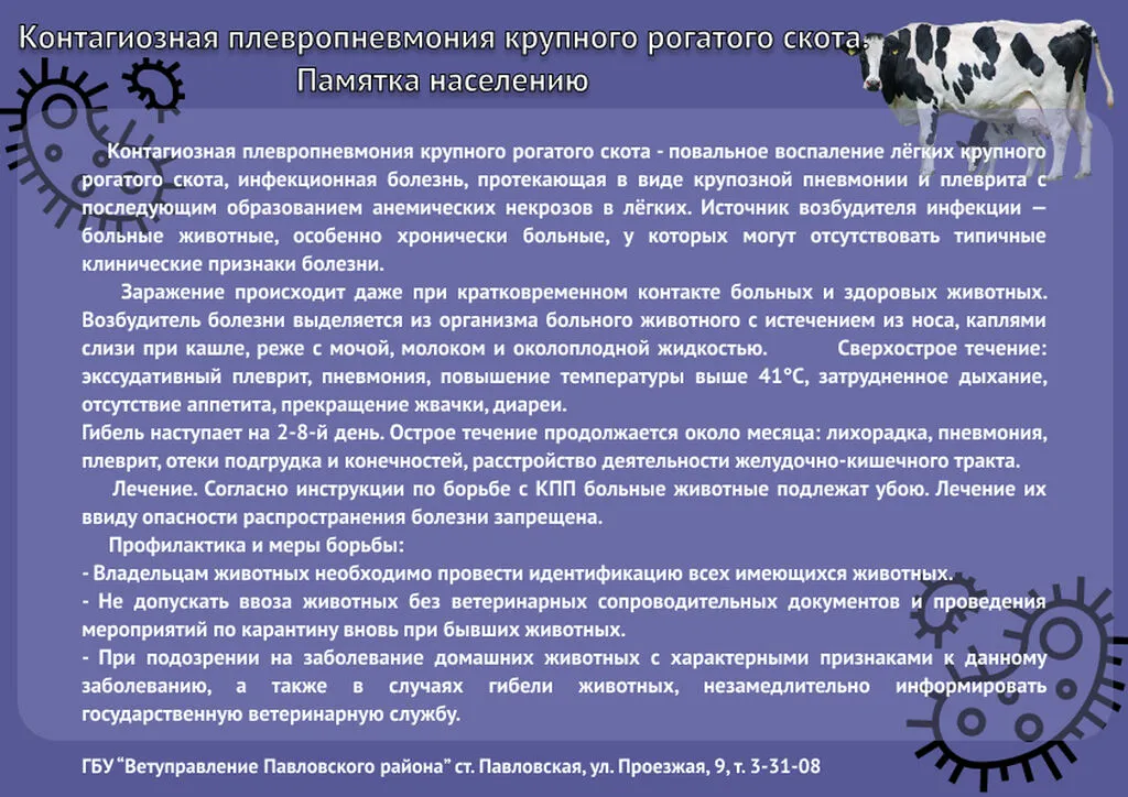 КПП