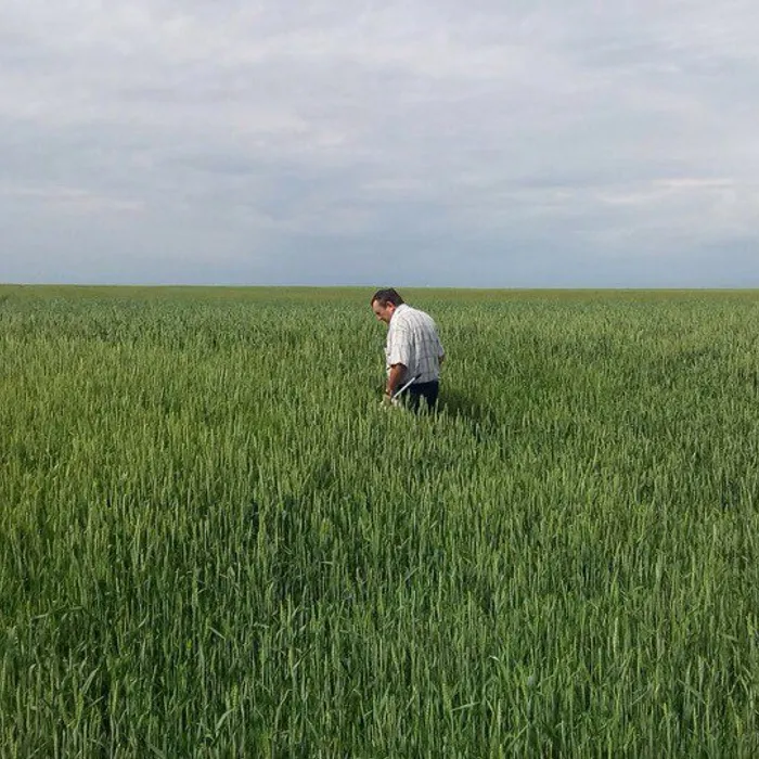 Обследование земельных участков