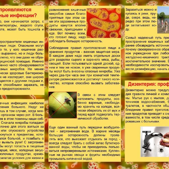 Профилактика острых кишечных инфекций