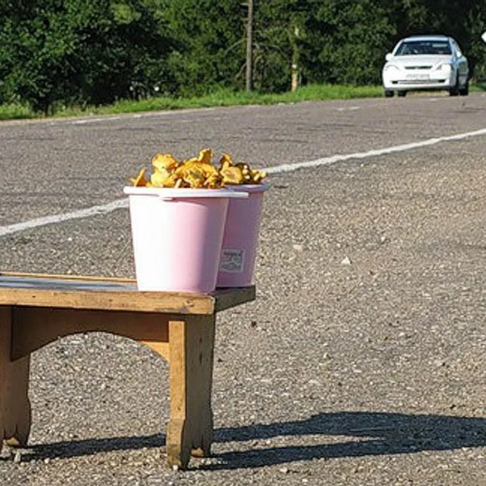 Придорожная торговля