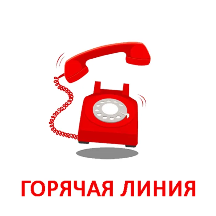 О телефоне горячей линии