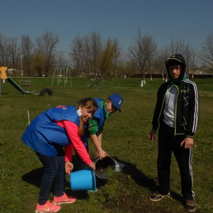 "Дерево жизни"