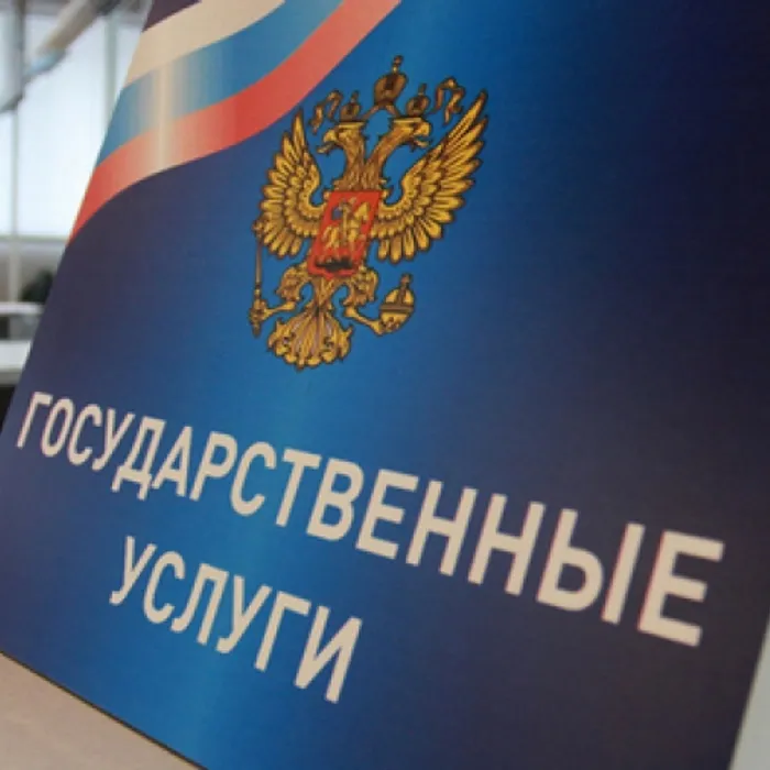 Гос. услуги по линии лицензионно-разрешительной работы