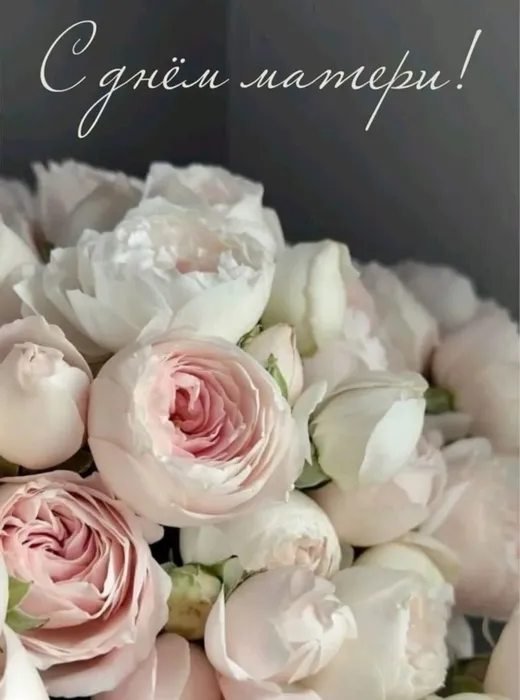 b_q1k8k0GYqXA08AOGXn6FefEbgYGdJCowYoPU1nGevGkuVQIw8M0L41rwX_aPr3u8kWOO8bAmzWPGhdi0n7Lk_1