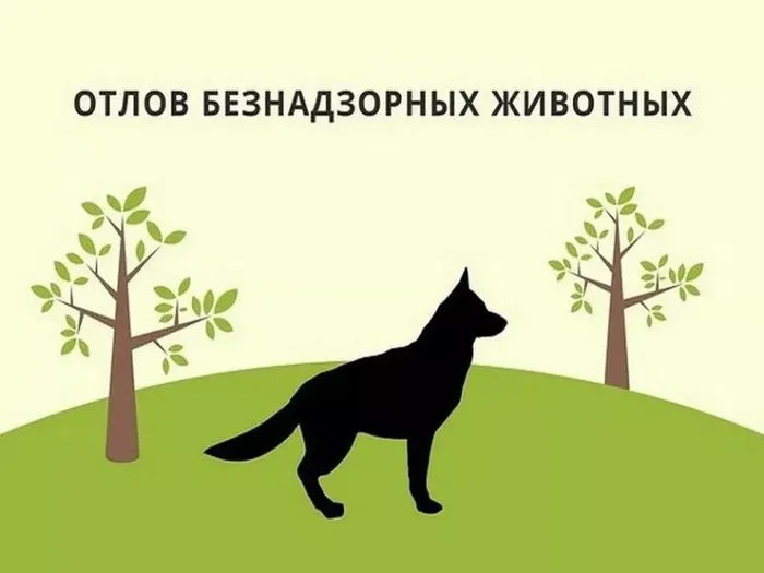 71cb5a05-e87a-4bb2-83d1-2bdbd3bc6e6c