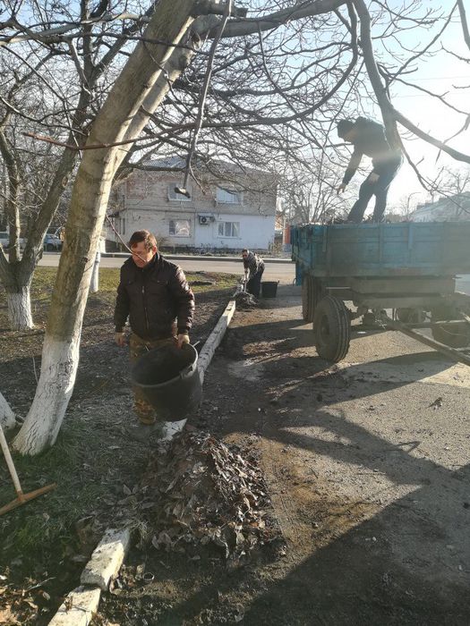 На фото: наведение санитарного порядка в Павловском поселении