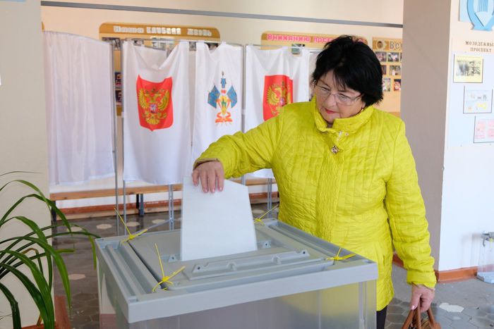 Выборы в Веселовском сельском поселении
