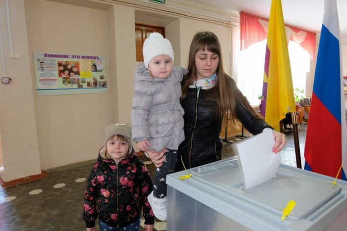 Выборы в Веселовском сельском поселении
