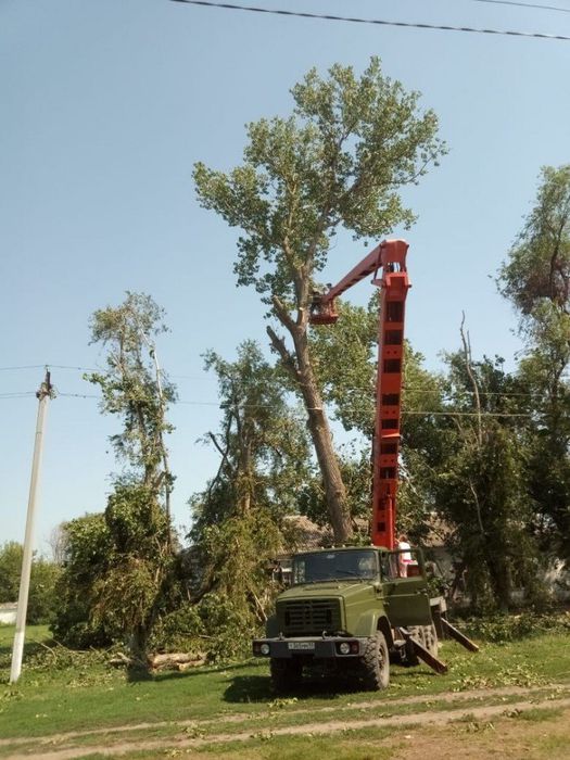 На фото: спил деревьев на территории больницы Старолеушковского сельского поселения