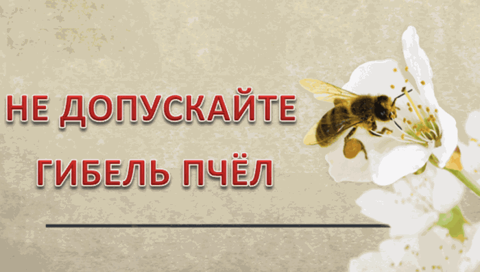 Защита пчёл от негативного воздействия пестицидов