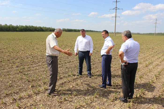 На фото: министр сельского хозяйства края Ф.И. Дерека посетил пострадавшие сельхозпредприятия Павловского района