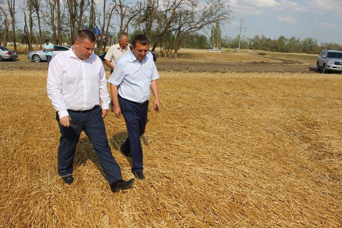 На фото: министр сельского хозяйства края Ф.И. Дерека посетил пострадавшие сельхозпредприятия Павловского района