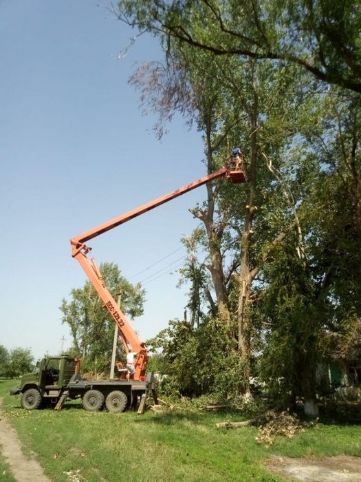 На фото: спил деревьев на территории больницы  Старолеушковского сельского поселения